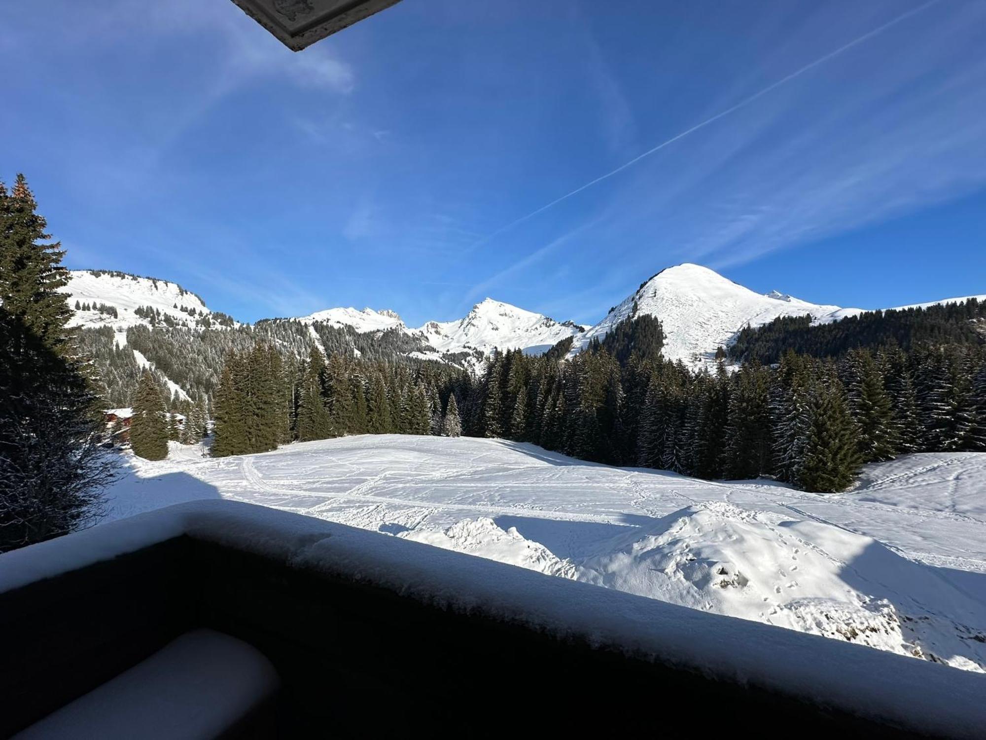 Studio Au Coeur Du Praz-De-Lys - Les Pralyssimes Le Praz de Lys Eksteriør bilde