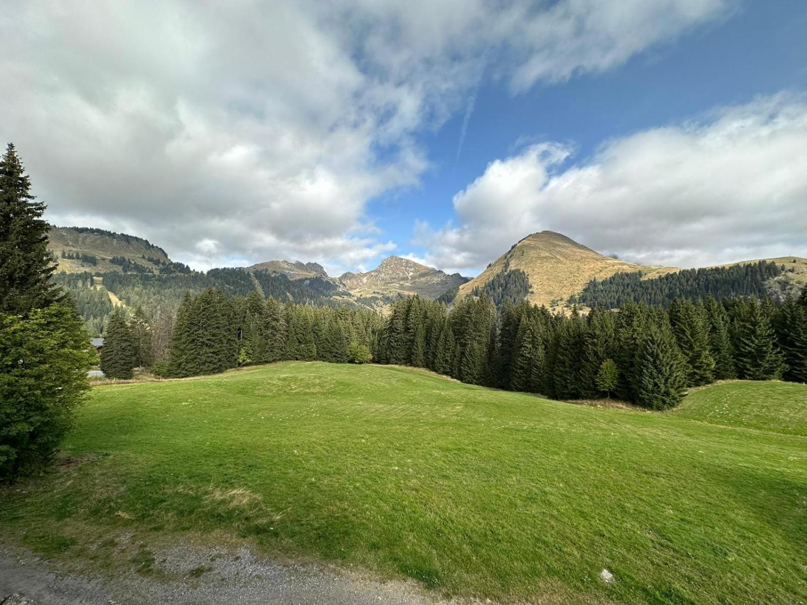 Studio Au Coeur Du Praz-De-Lys - Les Pralyssimes Le Praz de Lys Eksteriør bilde
