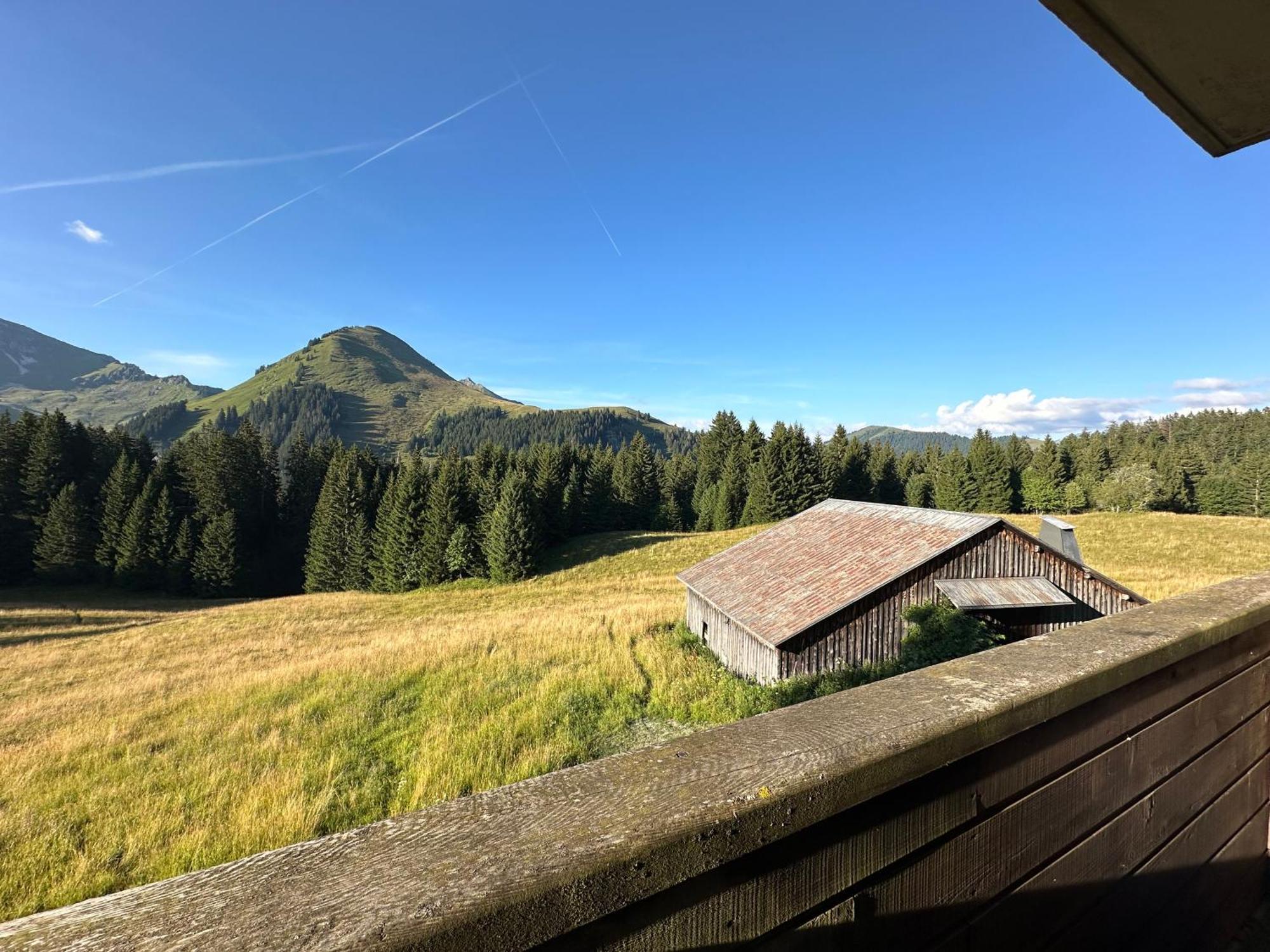 Studio Au Coeur Du Praz-De-Lys - Les Pralyssimes Le Praz de Lys Eksteriør bilde